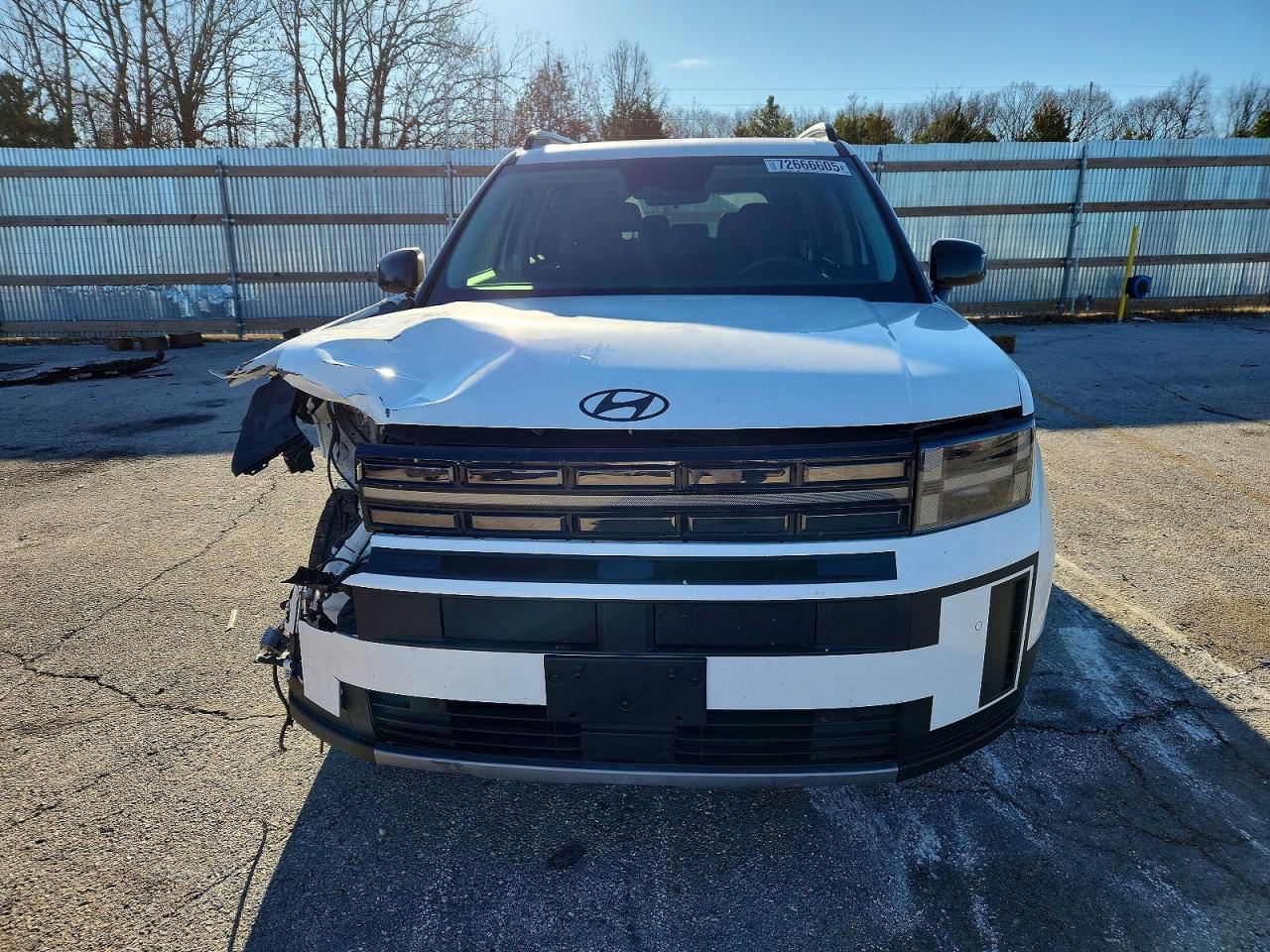 2024 Hyundai Santa Fe Xrt - Фото 5