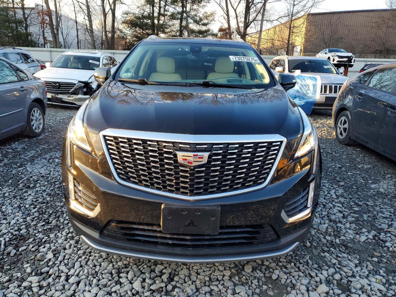 2024 Cadillac Xt5 Premium Luxury - Фото 5