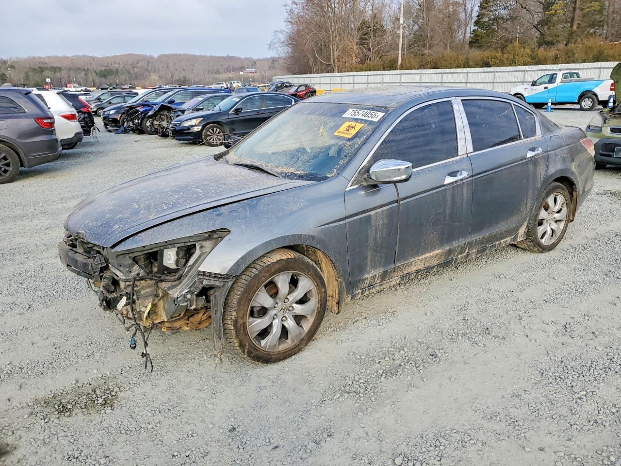 2008 Honda Accord Exl