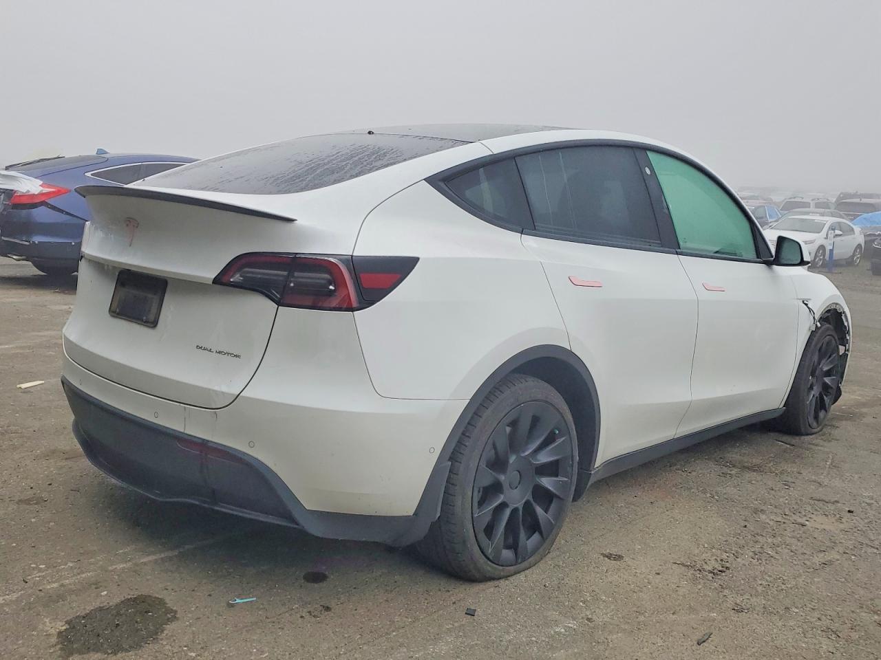 2021 Tesla Model Y - Фото 3