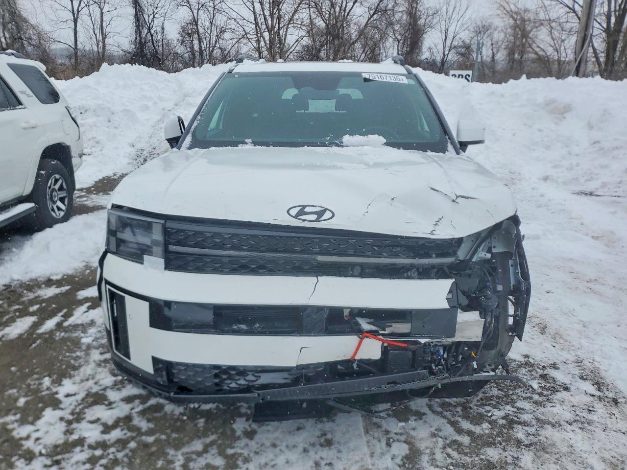 2025 Hyundai Santa Fe Calligraphy - Фото 5