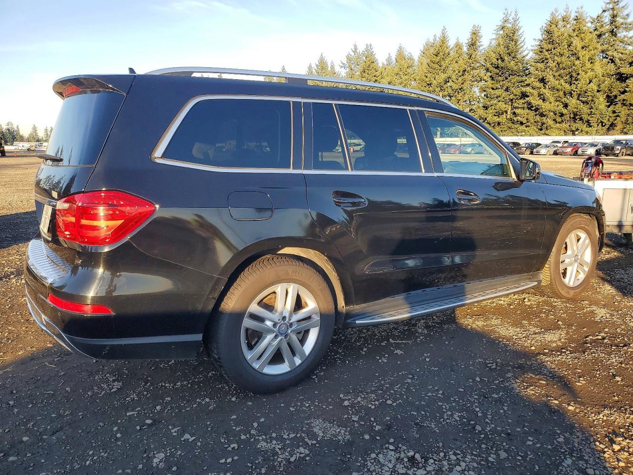 2014 Mercedes-Benz Gl 450 4Matic - Фото 3