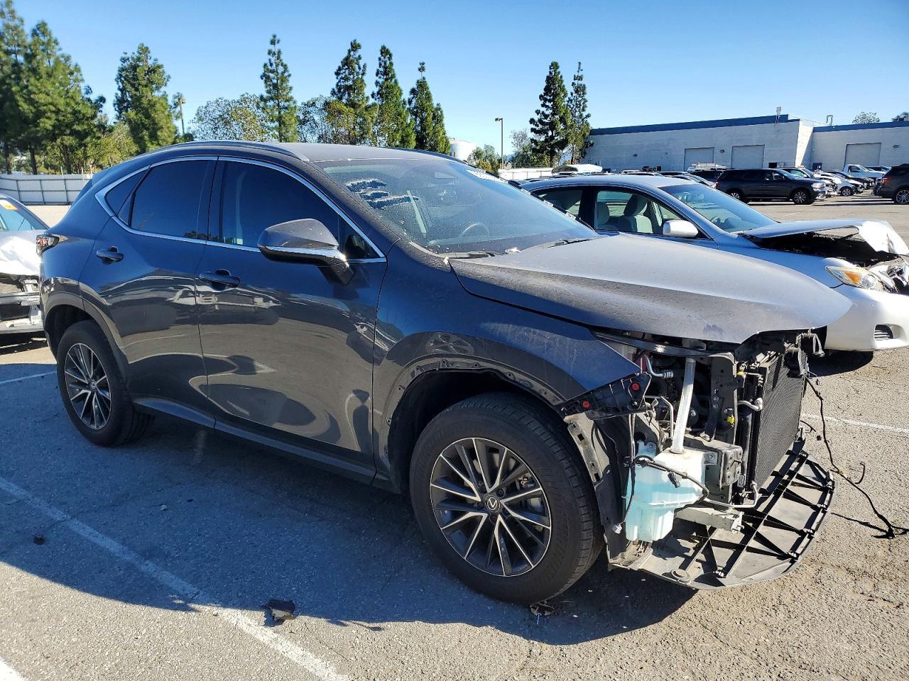 2024 Lexus Nx 350 Base - Image 4