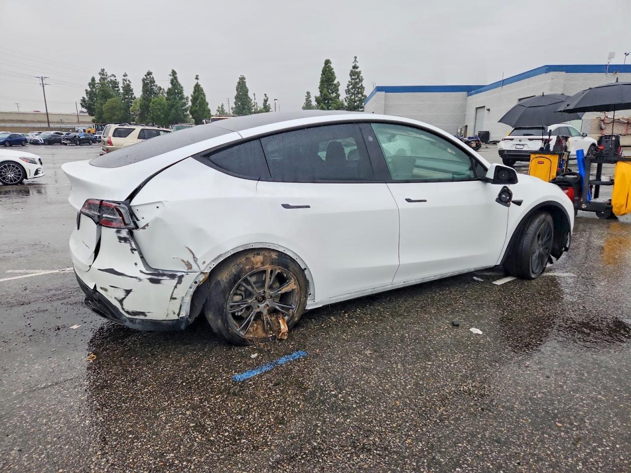 2024 Tesla Model Y - Фото 3