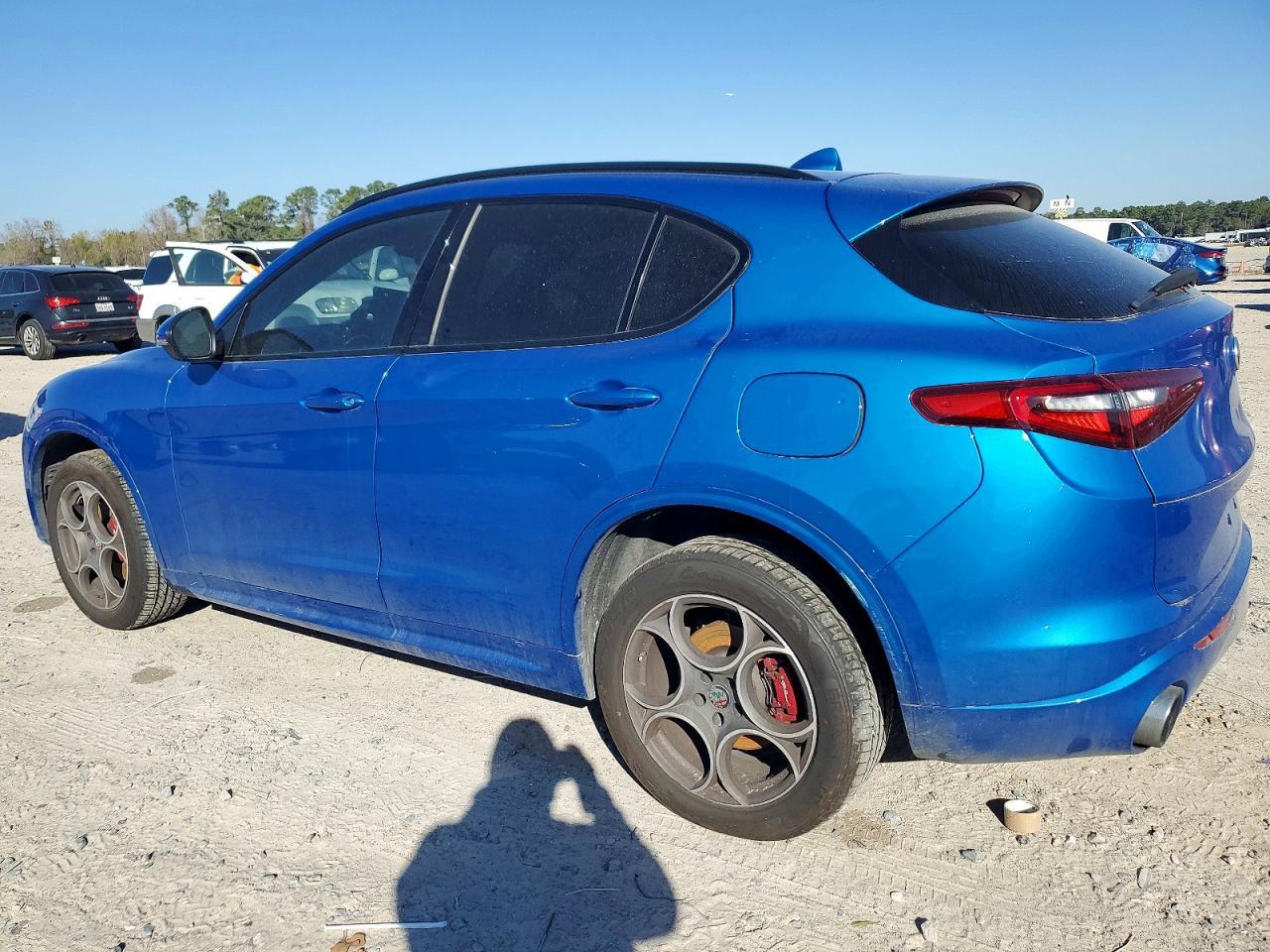2020 Alfa Romeo Stelvio - Фото 2
