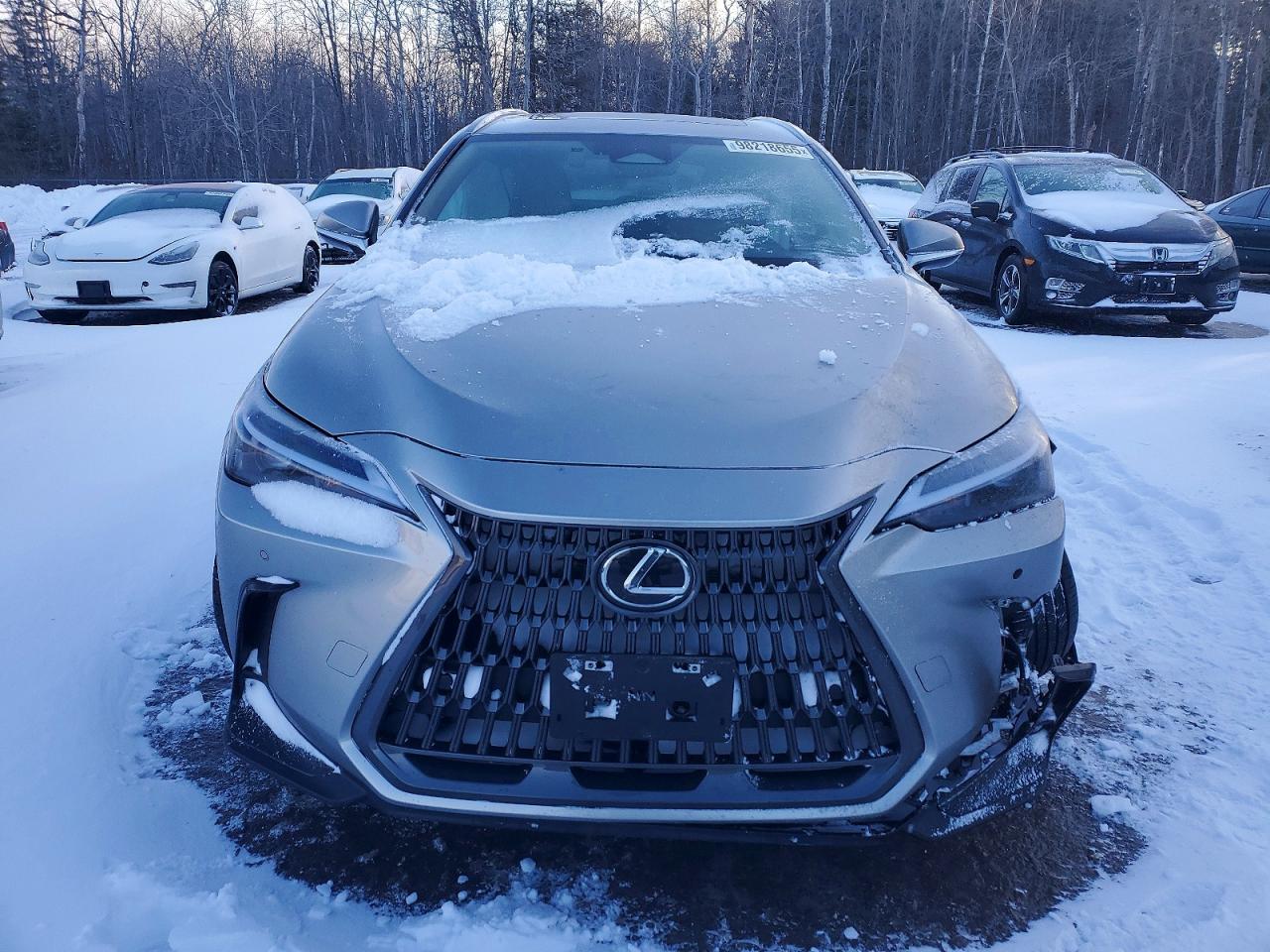 2024 Lexus Nx 350H Base - Image 5