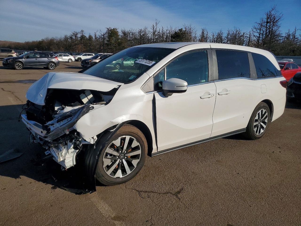 2026 Honda Odyssey Exl