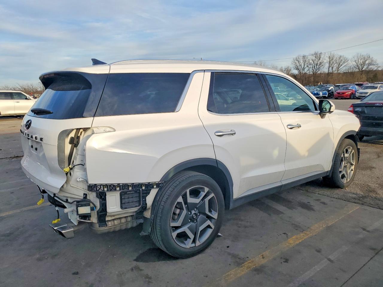 2024 Hyundai Palisade Sel Premium - Фото 3
