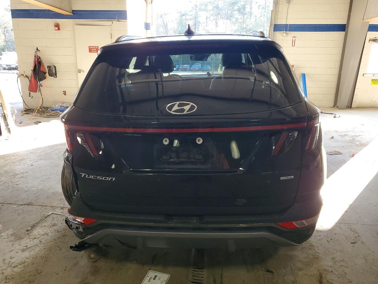 2024 Hyundai Tucson Limited - Фото 6