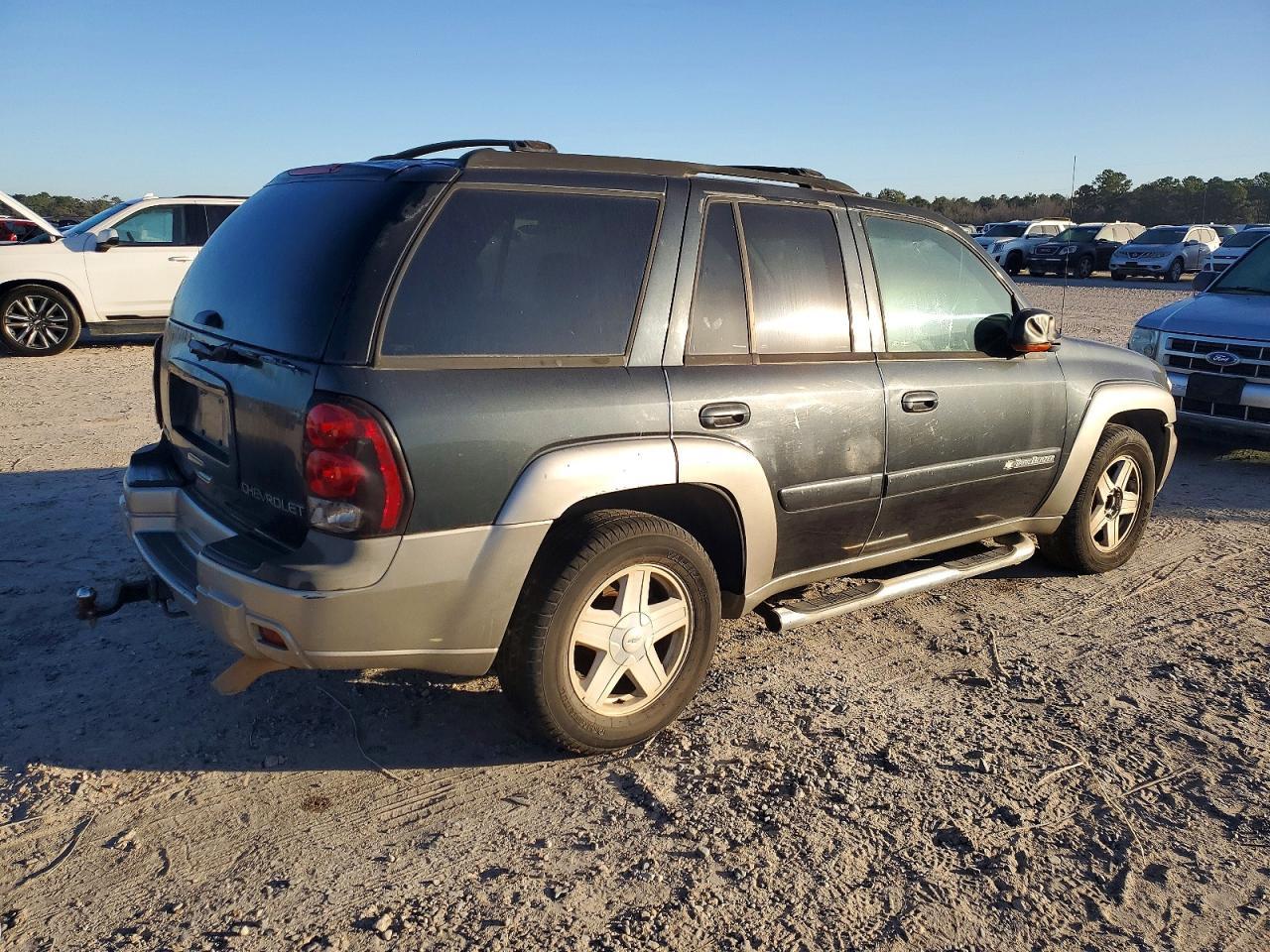 2003 Chevrolet Trailblazer - Фото 3