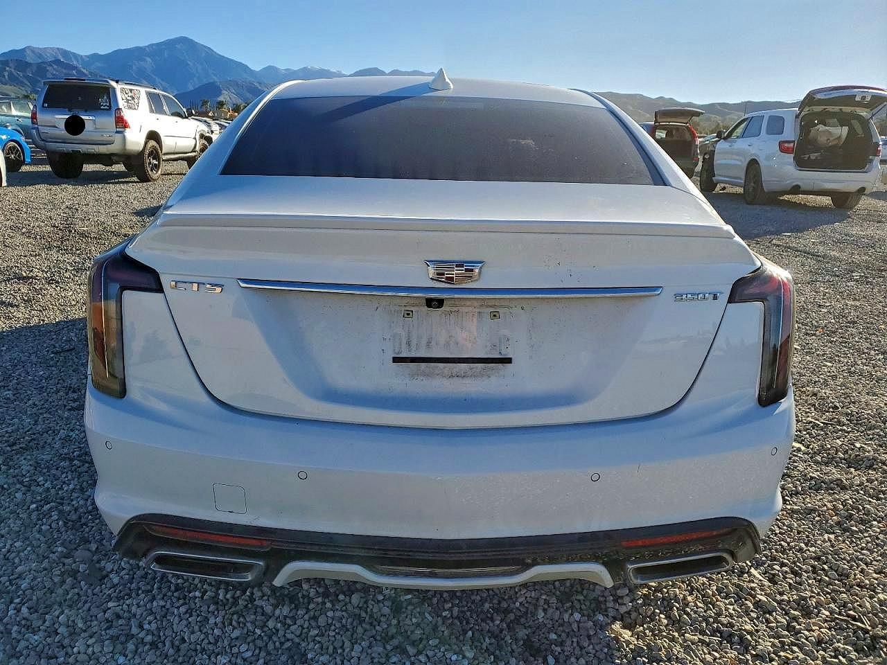 2024 Cadillac Ct5 Sport - Фото 6
