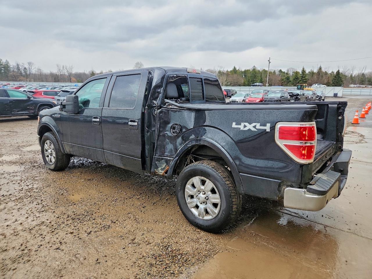2010 Ford F150 Supercrew - Фото 2