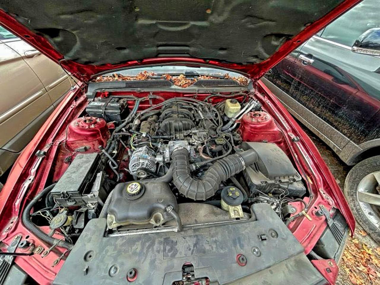 2007 Ford Mustang - Фото 7