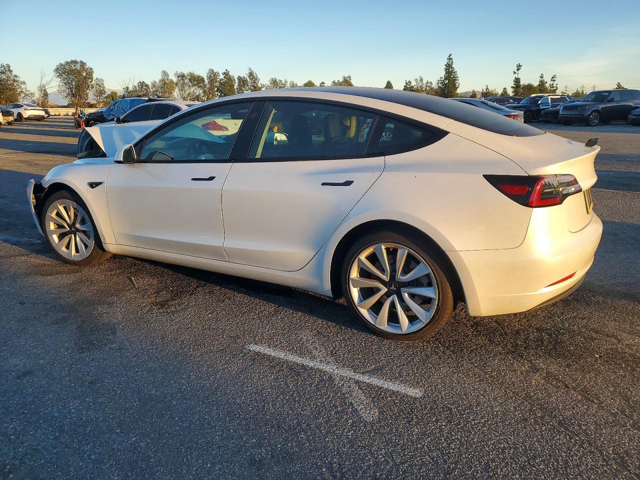 2023 Tesla Model 3 - Фото 2