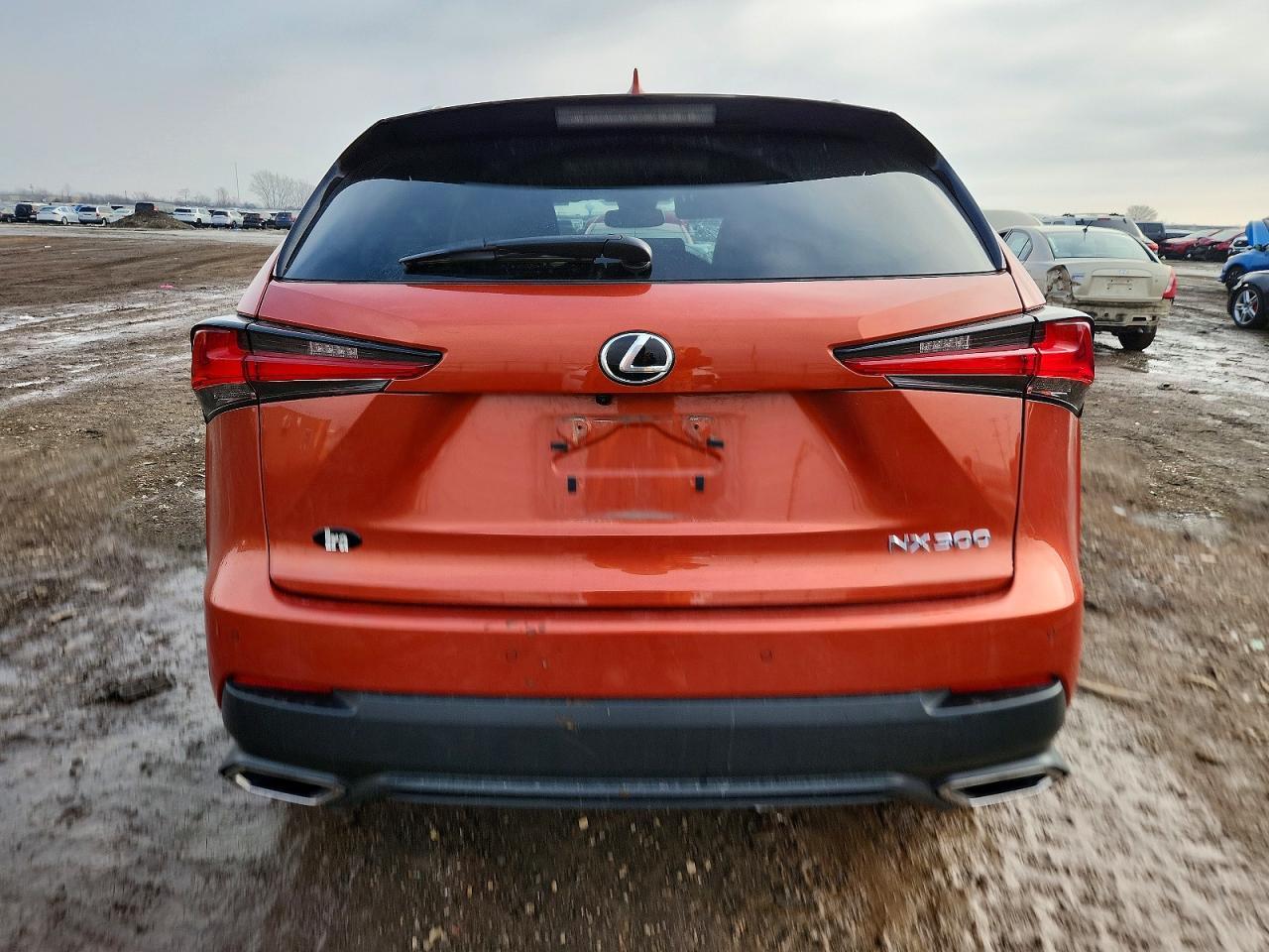 2021 Lexus Nx 300 Base - Фото 6