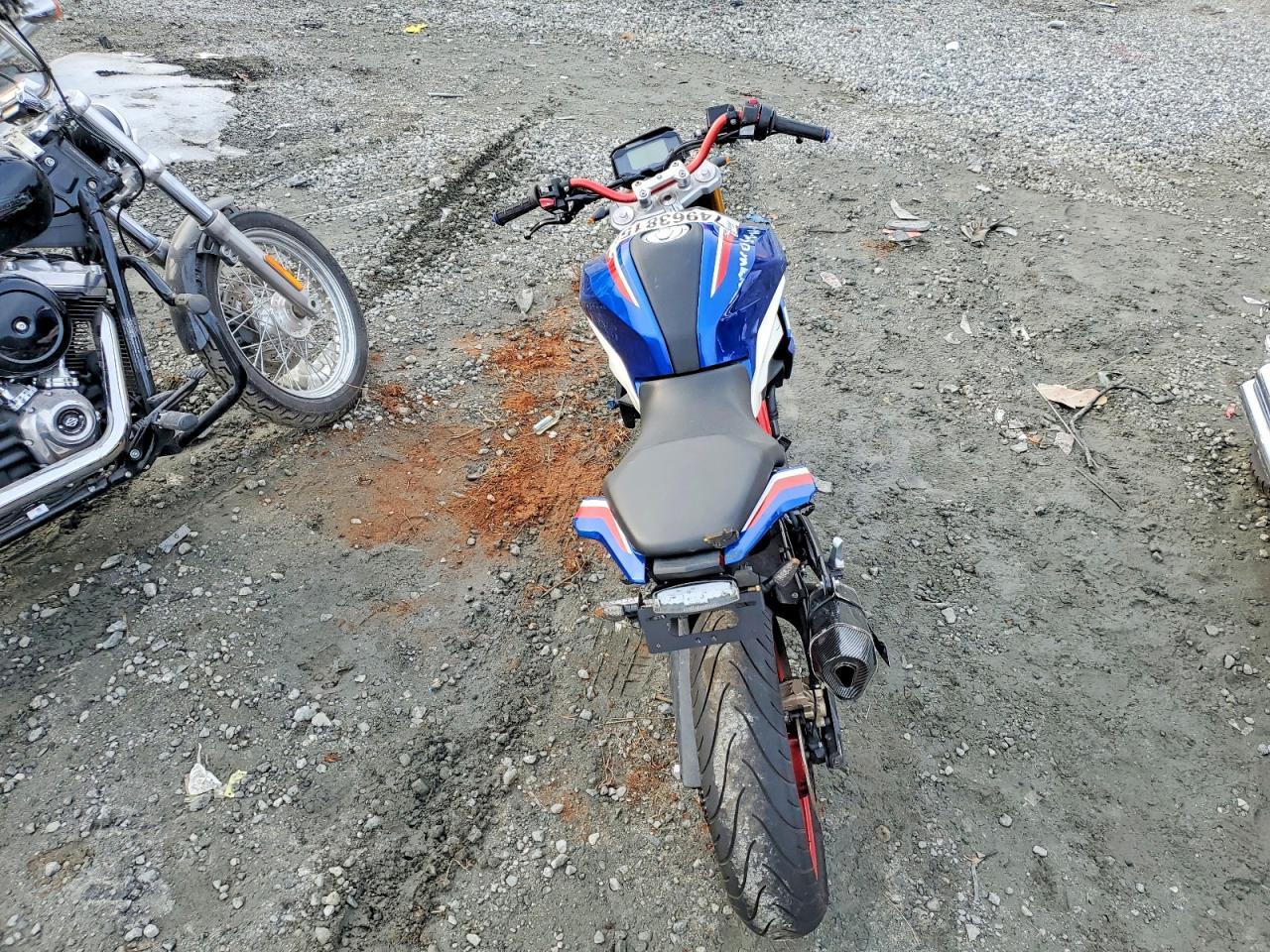 2024 BMW G310 R - Image 6