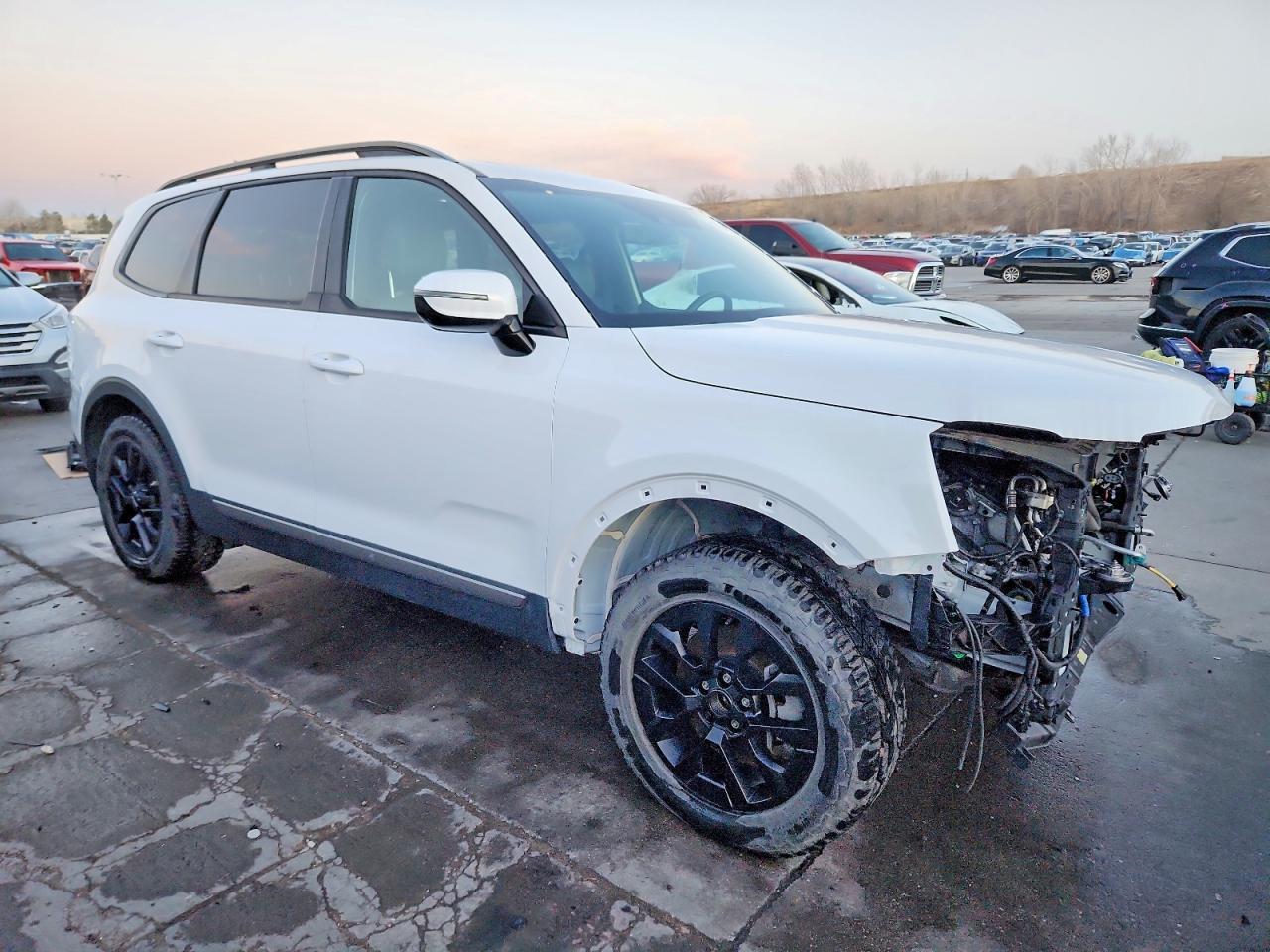 2023 Kia Telluride Sx-Prestige X-Pro - Фото 4