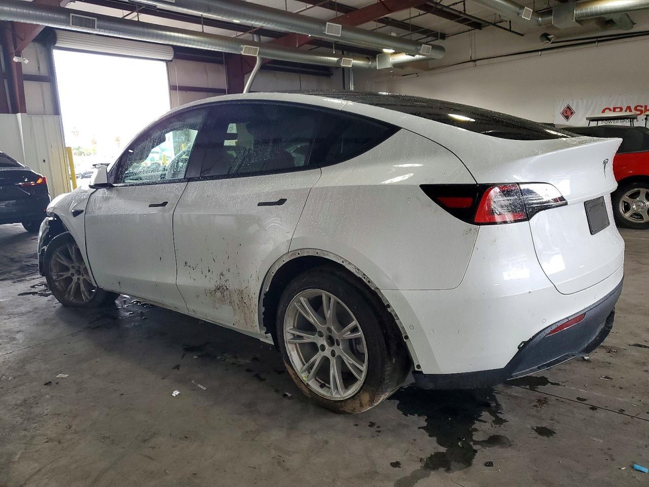 2021 Tesla Model Y - Фото 2