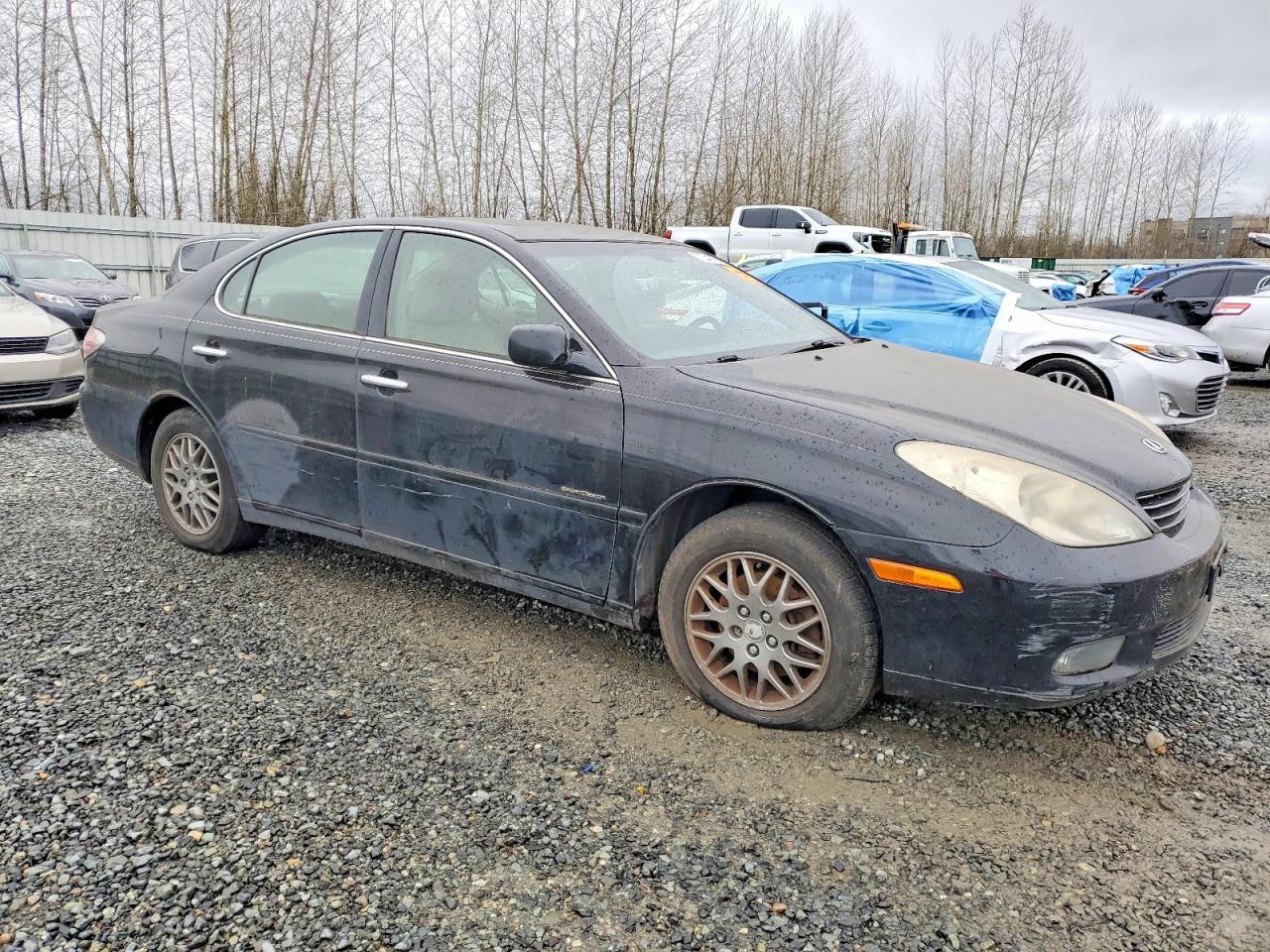 2004 Lexus Es 330 - Фото 4