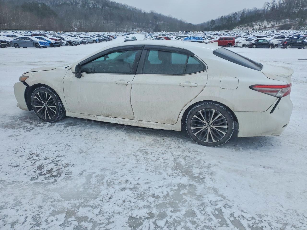 2019 Toyota Camry L - Фото 2