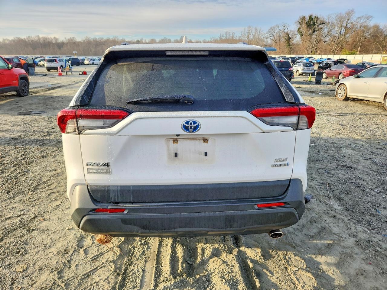 2019 Toyota Rav4 - Фото 6