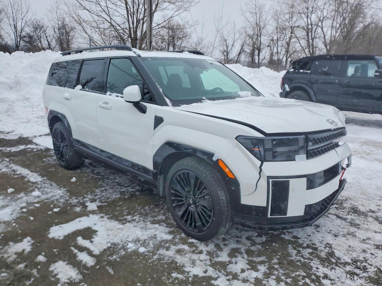 2025 Hyundai Santa Fe Calligraphy - Фото 4