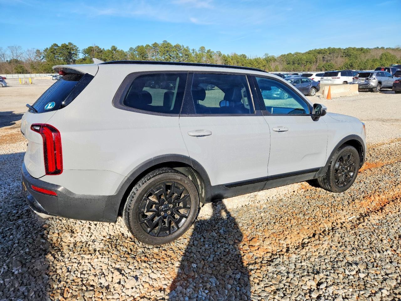 2022 Kia Telluride Ex - Image 3