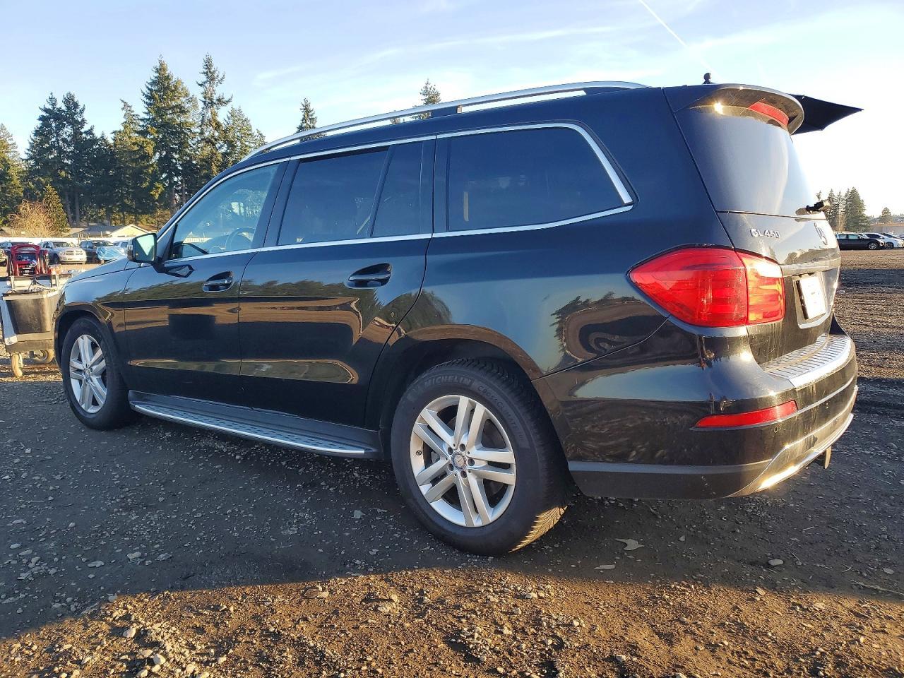 2014 Mercedes-Benz Gl 450 4Matic - Фото 2
