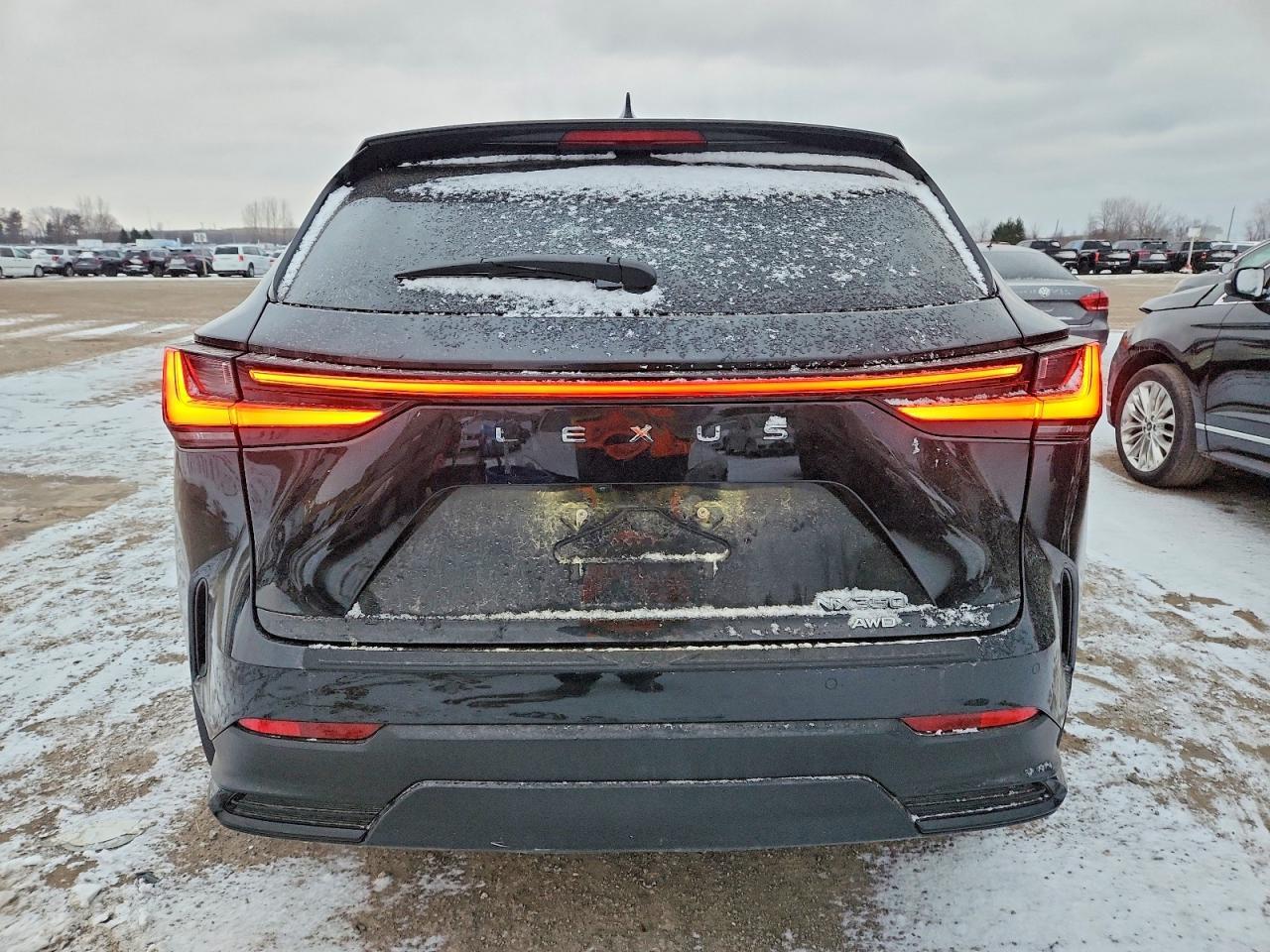 2023 Lexus Nx 350 - Фото 6