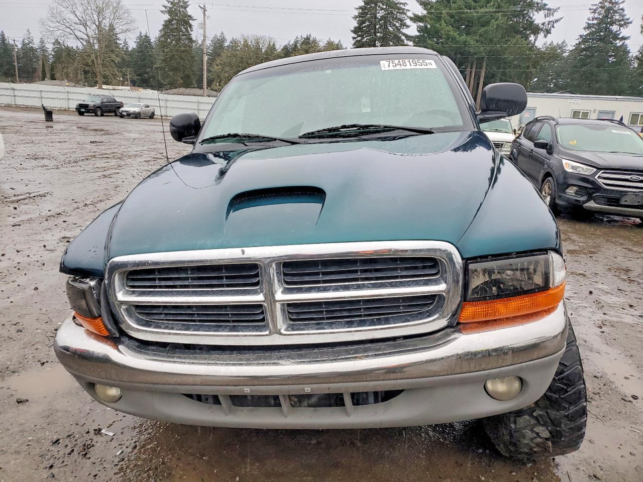1998 Dodge Dakota - Фото 5