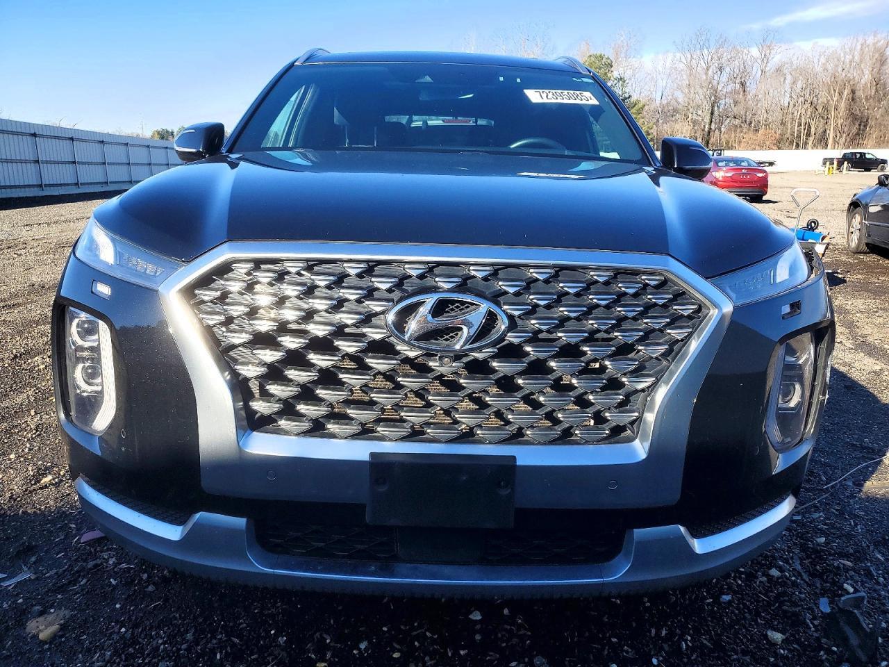 2021 Hyundai Palisade Calligraphy - Фото 5