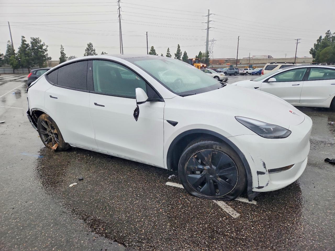 2024 Tesla Model Y - Фото 4