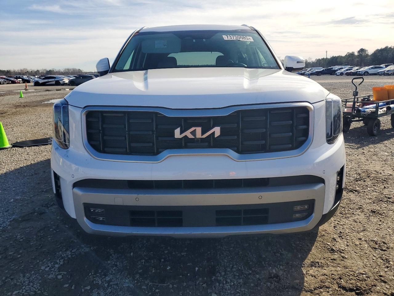 2024 Kia Telluride Sx - Фото 5