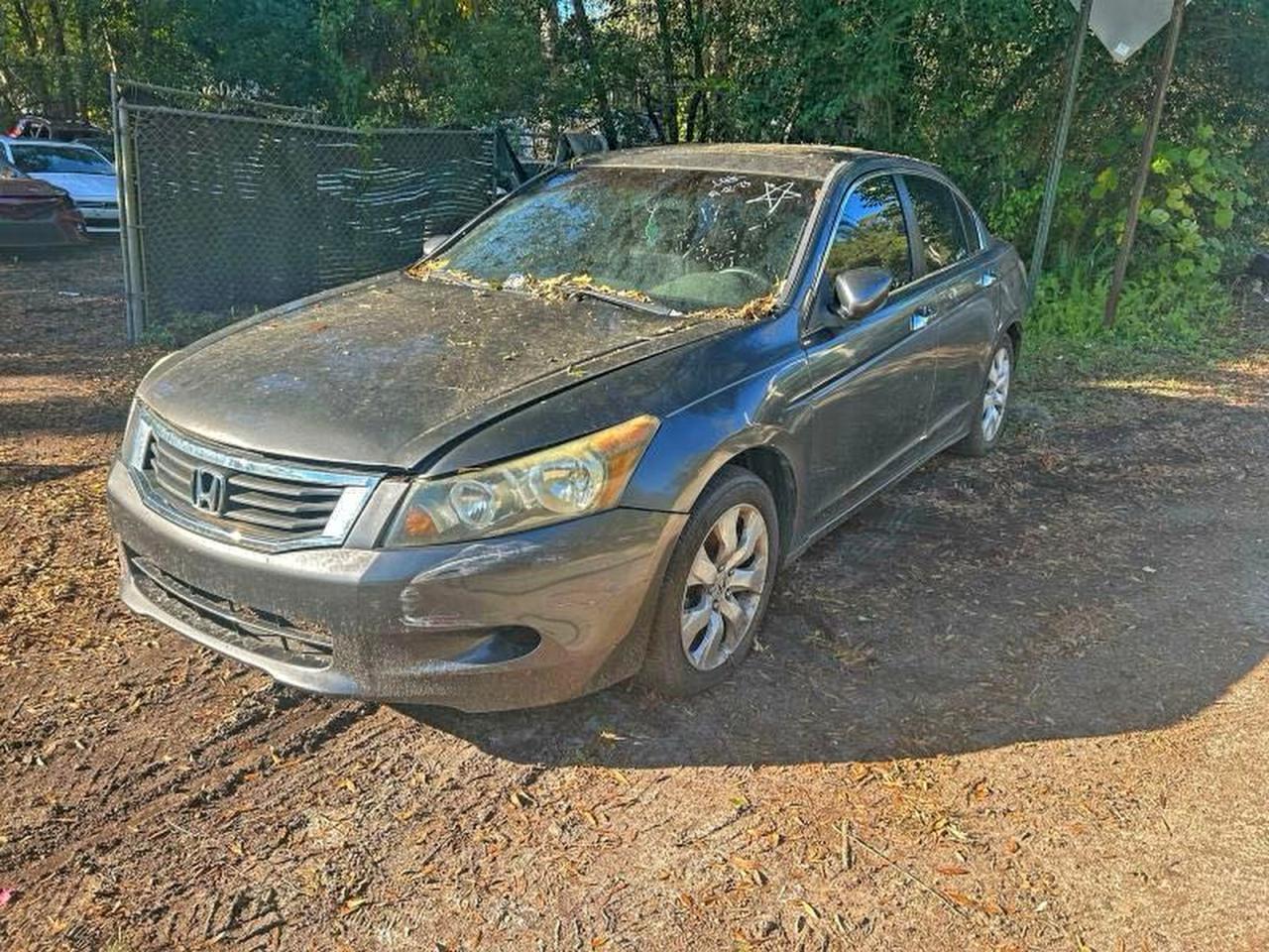 2008 Honda Accord Exl - Image 2