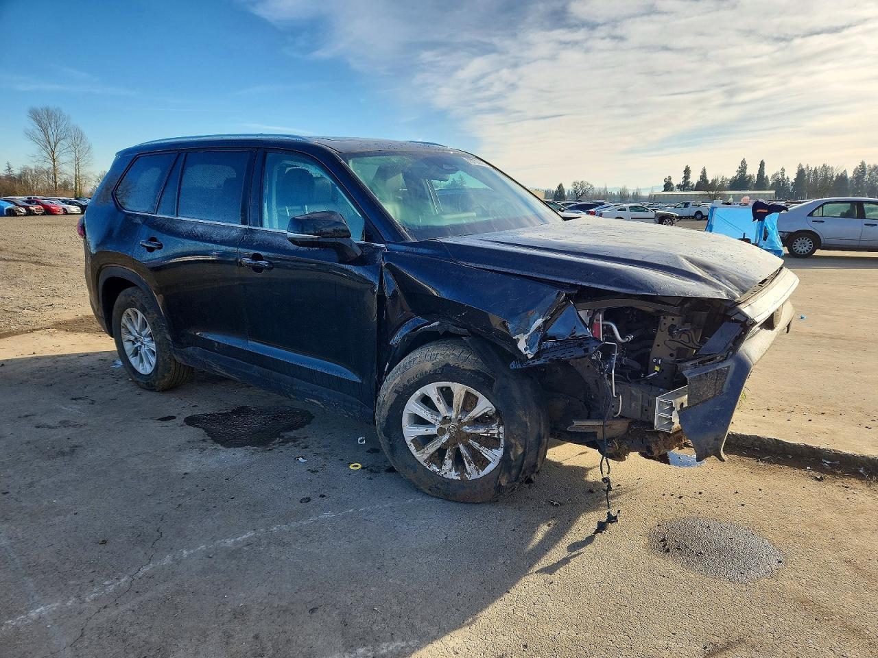 2024 Toyota Grand Highlander Xle - Фото 4