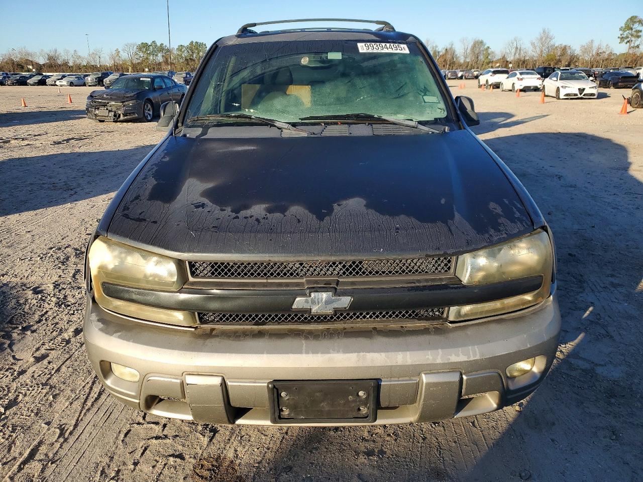 2003 Chevrolet Trailblazer - Фото 5