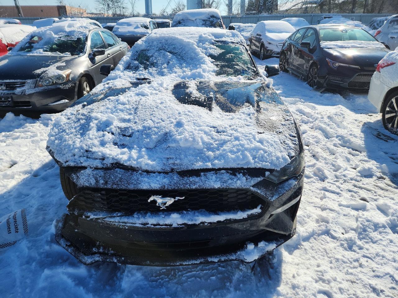 2019 Ford Mustang - Фото 5
