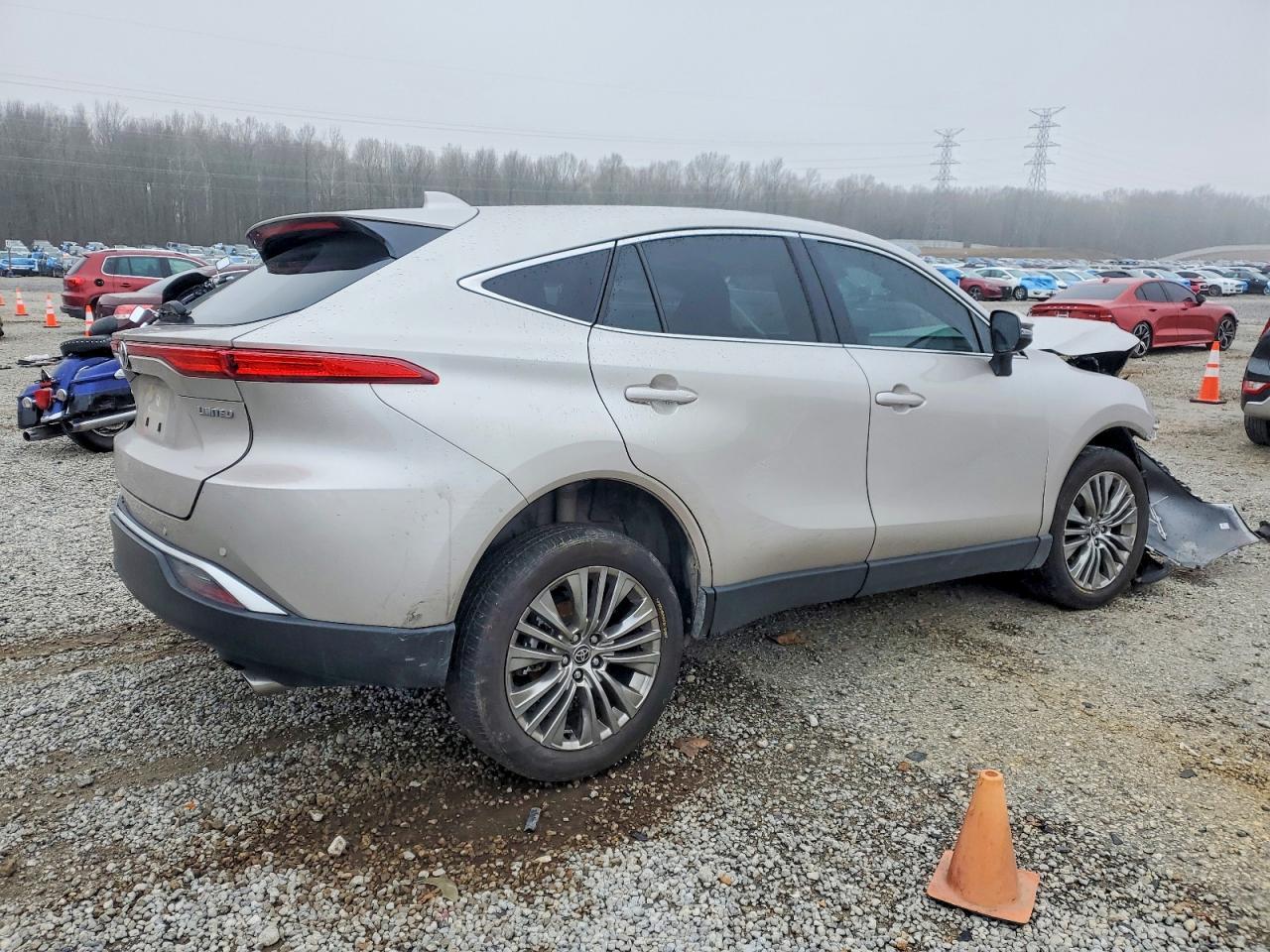 2024 Toyota Venza Limited - Фото 3