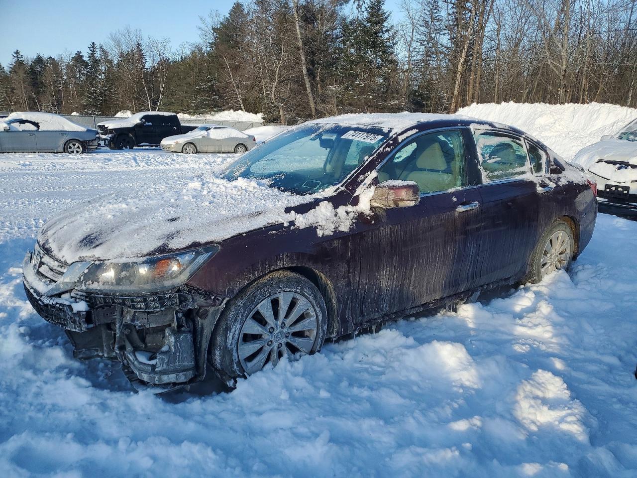 2015 Honda Accord Ex
