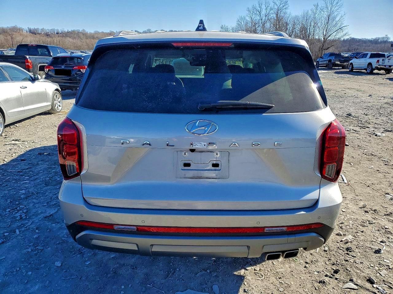 2025 Hyundai Palisade Sel - Фото 6