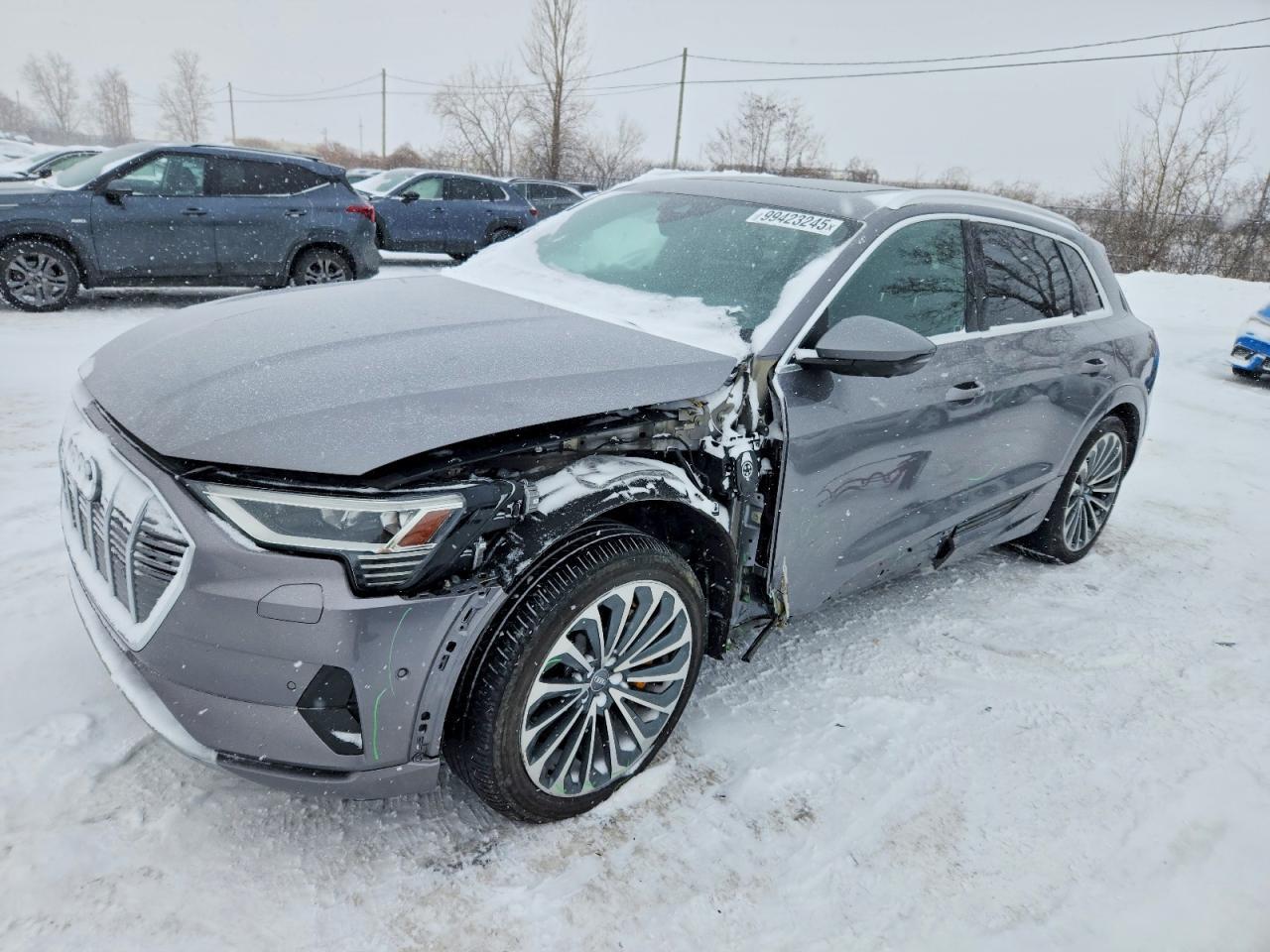 2019 Audi E-Tron Prestige