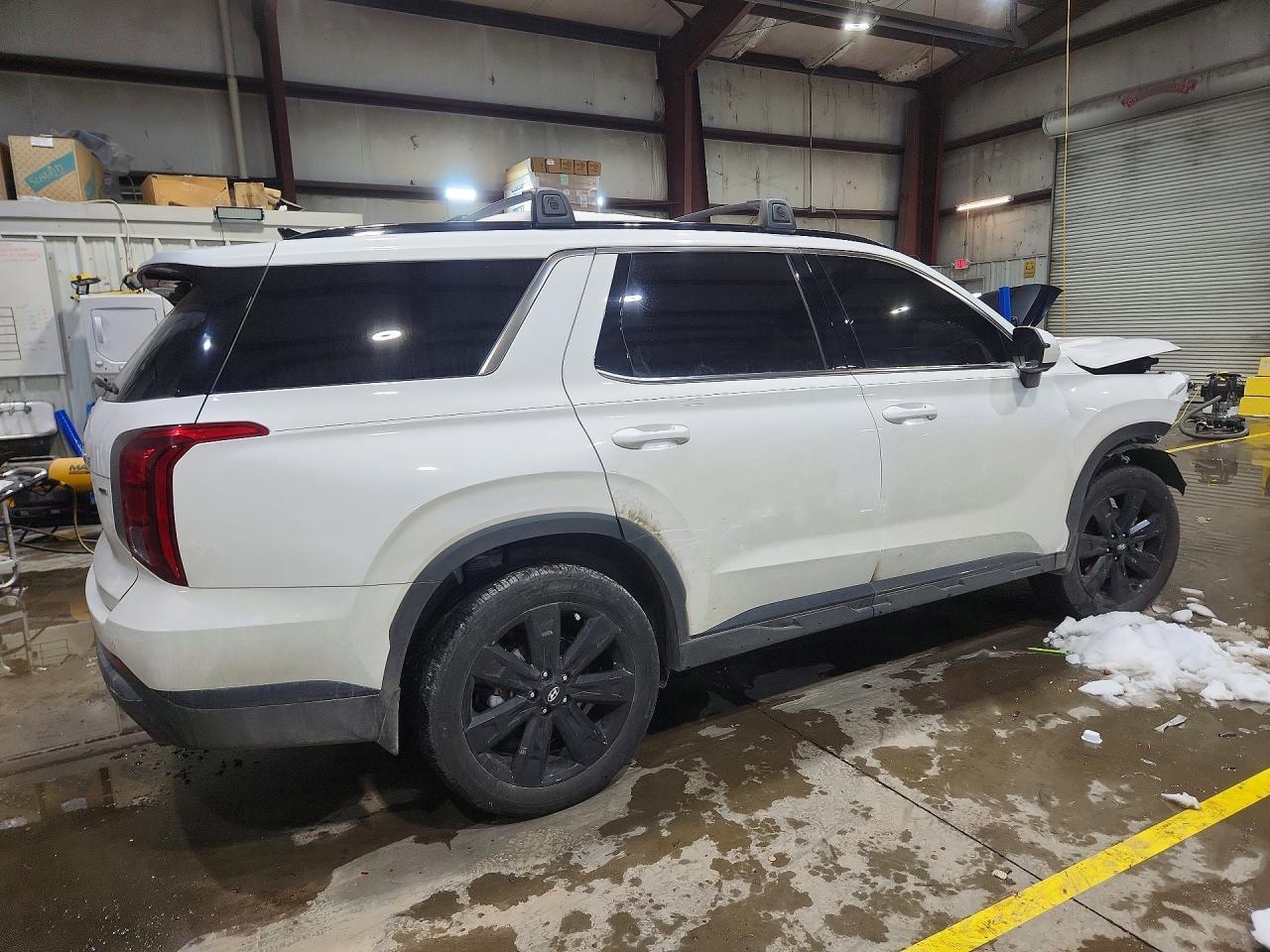 2025 Hyundai Palisade Xrt - Фото 3