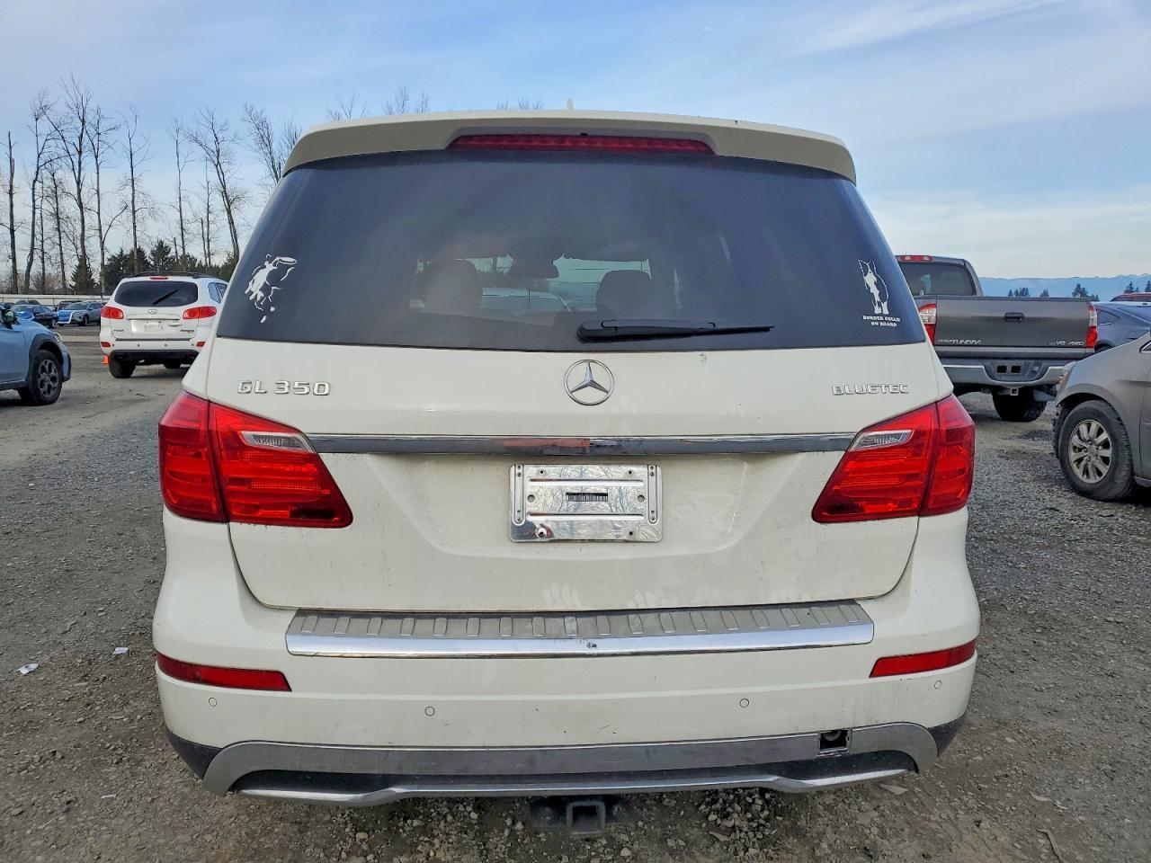 2013 Mercedes-Benz Gl 350 Bluetec - Image 6