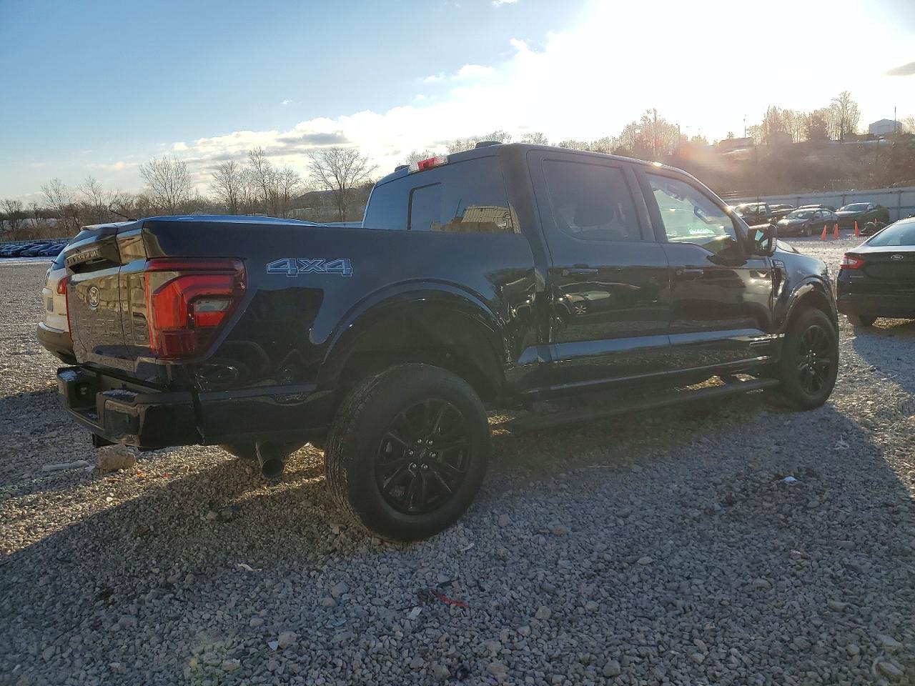 2025 Ford F150 Platinum - Фото 3