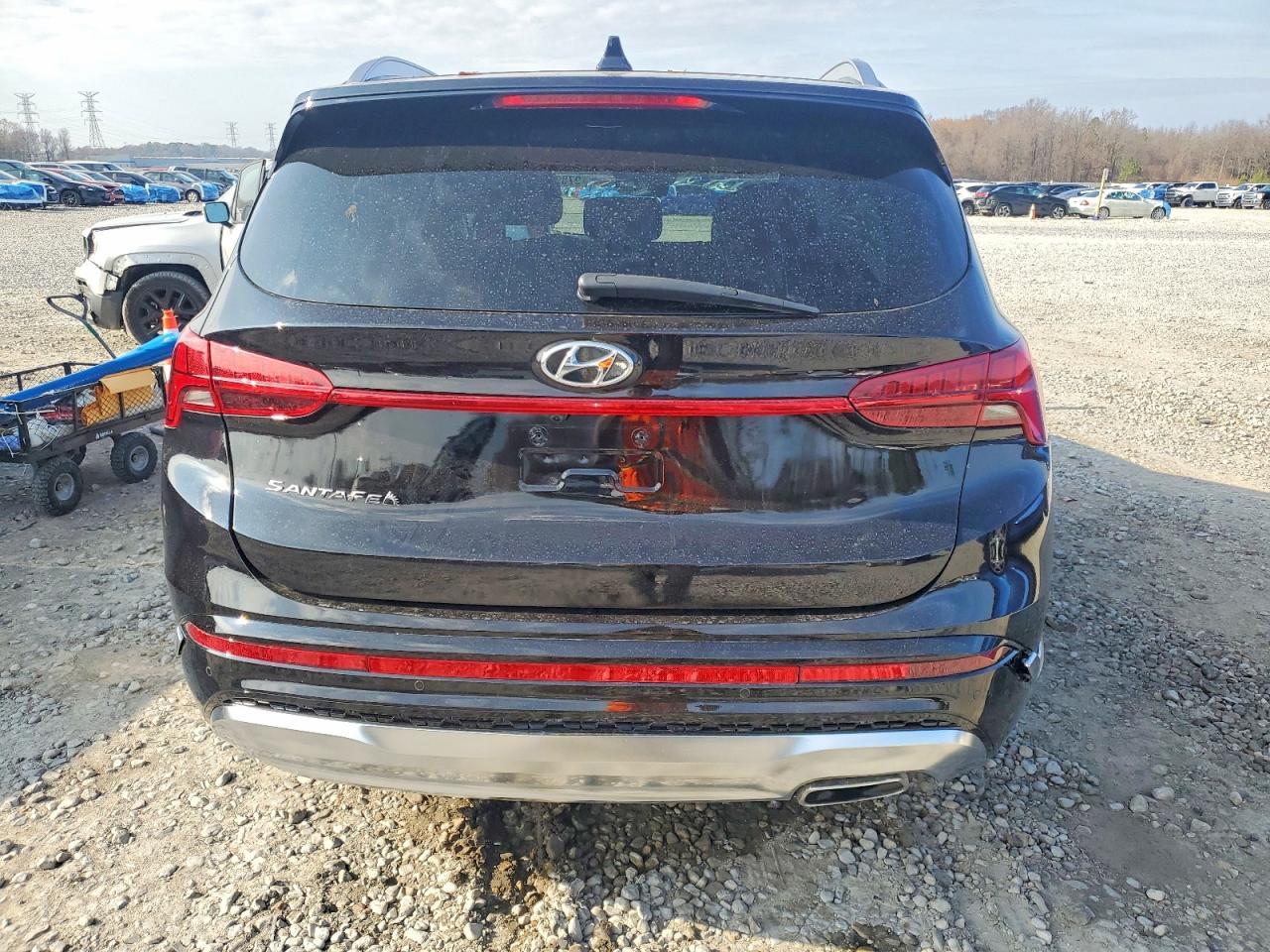 2023 Hyundai Santa Fe Calligraphy - Image 6