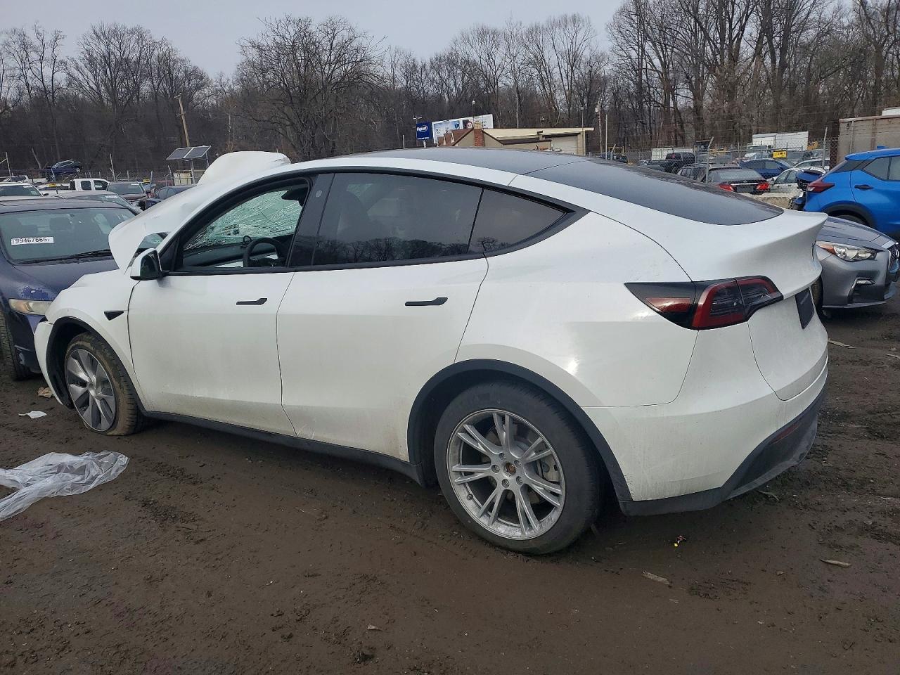 2023 Tesla Model Y - Image 2