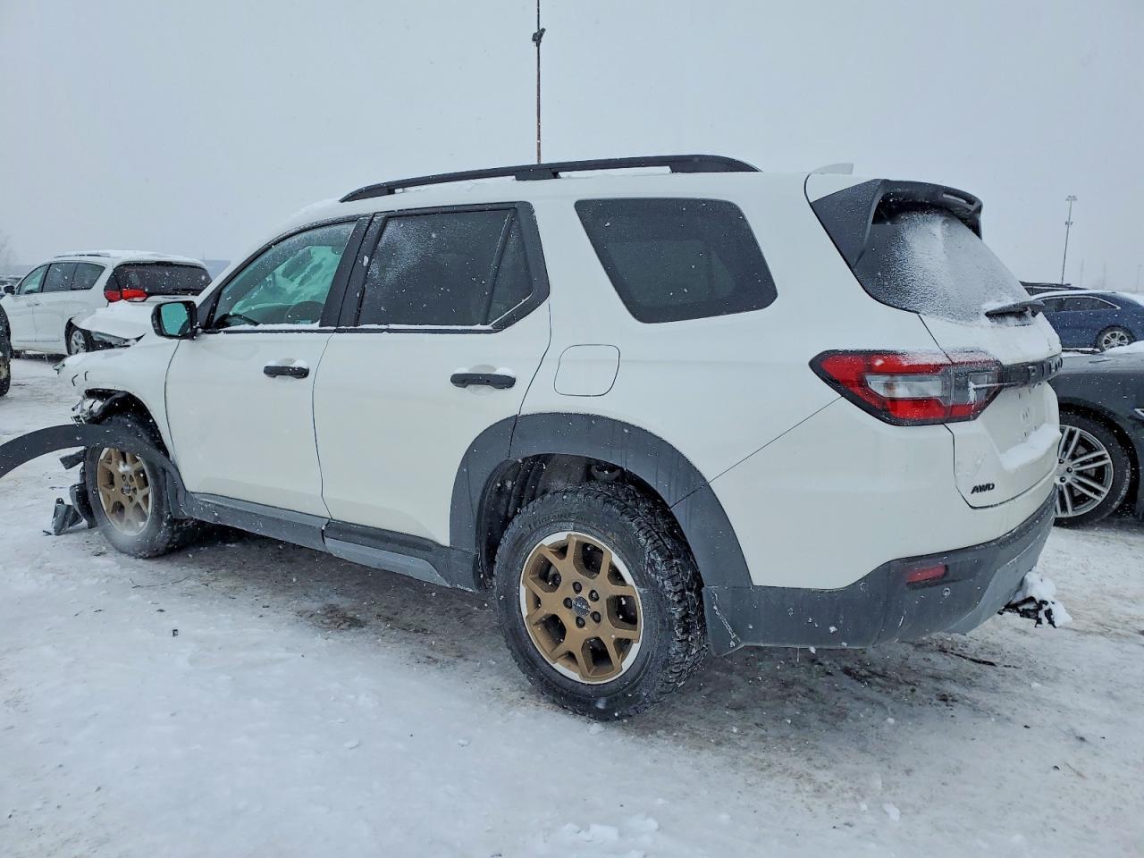 2024 Honda Pilot Trailsport - Фото 2