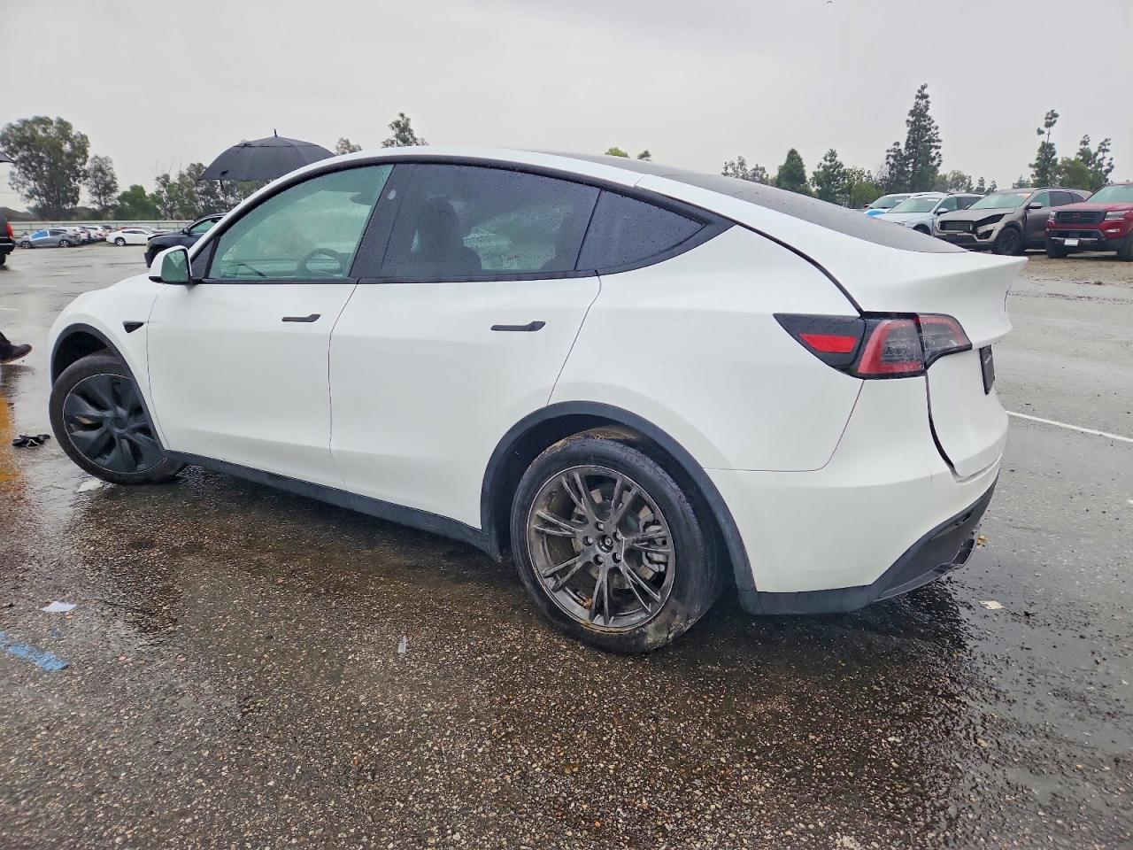 2024 Tesla Model Y - Фото 2