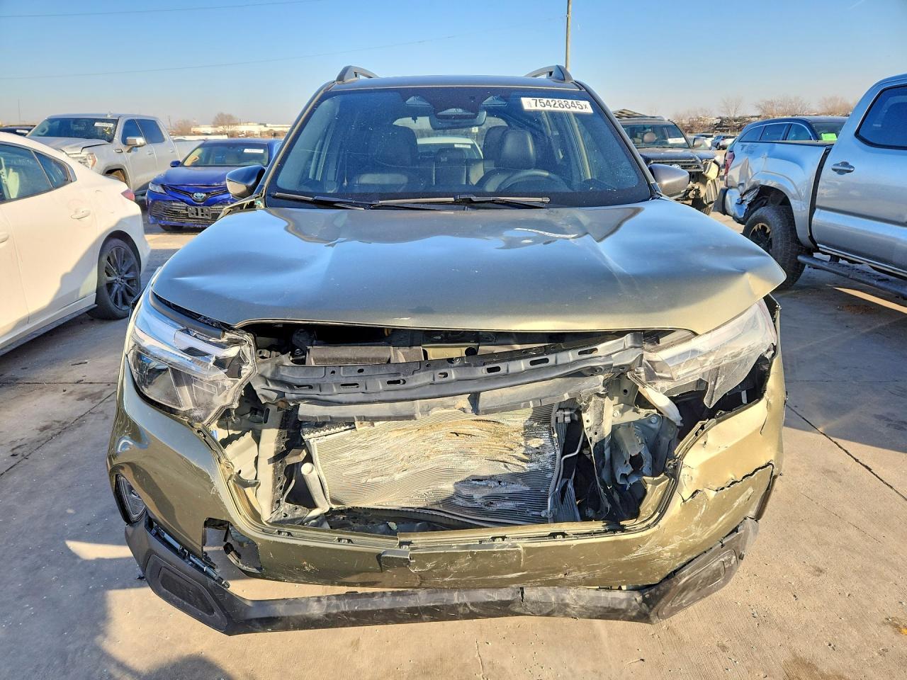 2025 Subaru Forester Limited - Image 5