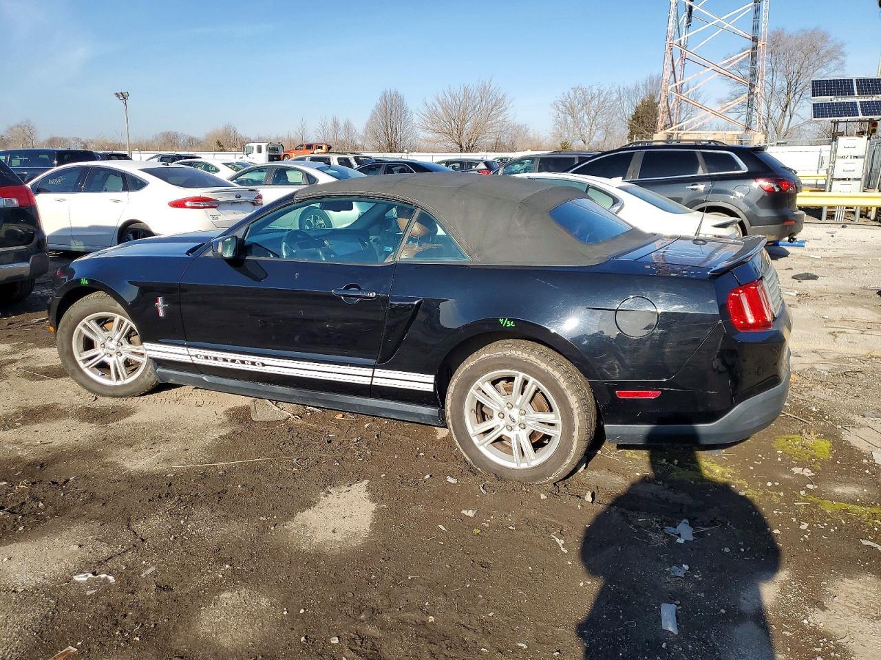 2010 Ford Mustang - Фото 2